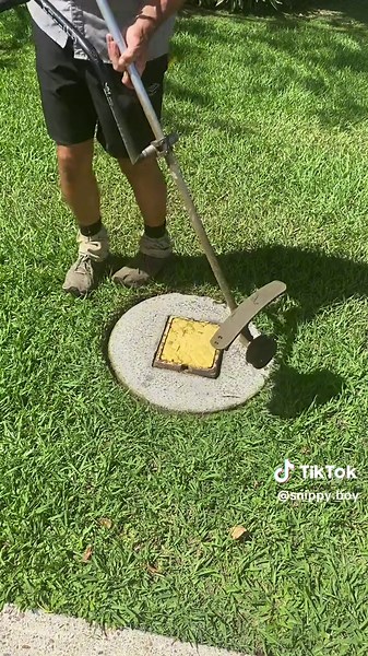 Gardening Tips: Snipping Techniques for Lawn Care