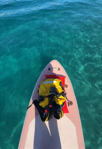 absolutely insane animal encounters today i feel so so lucky!! thank u Mother Nature #florida #paddleboarding #paddleboard #peanutisland #shark #stingray #marinebio