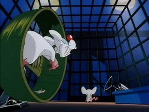 Animaniacs - Intro (Danish) (Pinky and the Brain) (V2)