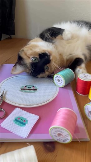 When your stitches need to be as sassy as you are. 🐱🧵 Our Sew Sassy 12 wt. polyester thread is bold, glossy, and impossible to ignore—perfect for cross stitch, decorative topstitching, and wool appliqué. With 50 vibrant solids, your motifs won’t just be seen… they’ll pop from across the room. In this video, Sydney turns Sew Sassy into the cutest kawaii macaron (with a little “help” from Clover 🐾), proving that thick, bold thread can bring even the tiniest stitches to life. P.S. Want to stitch