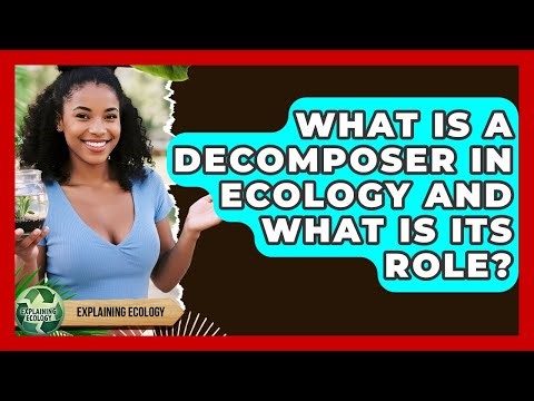 What Is A Decomposer In Ecology And What Is Its Role? - Explaining Ecology