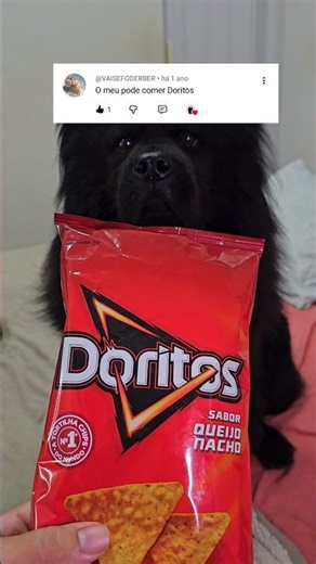 What your pet can and can't eat - Doritos 💜🐶 #dog #funny #shorts