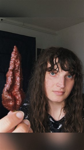 Samara Likes Peppers on Instagram: "BASILISK CHOCOLATE PEPPER FROM CONJURED VAPORZ PEPPERS (@conjured_vaporz_peppers) #hotpeppers #challenge #spicy #peppers #foodreview"