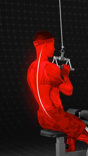 SynerMuscle on Instagram: "One move keeps your lats loaded and posture strong. The other? Wrecks your spine and weakens results. Learn how proper spinal alignment unlocks real back growth. Save this form check — your future self will thank you. #synermuscle #backday #posturefix #3dtraining #latpulldown #smartlifting #muscleactivation #gymtips"