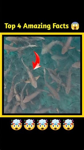 Top 4 Amazing Facts 😱 | #youtubeshorts #telugu #shorts #telugufacts