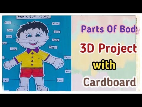 Parts Of Body 3D Project For Kids|parts of body project ideas|parts of body project drawing