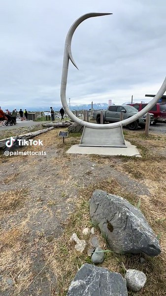 The biggest circle hook ever made! @Epic_Catfish #homeralaska #circlehook #fypシ #fishing #fishtok