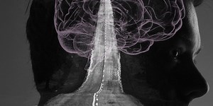 The Physiology of Driving at Night