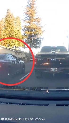 Serial Brake Checker vs. Undercover Cop 🚔 (Instant Karma)