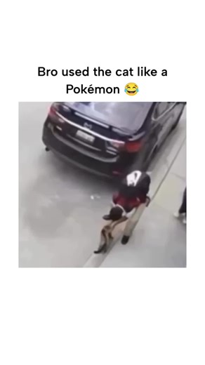 ELITE BALL🥸 on Instagram: "This Instagram reel captures schoolchildren in Philippine-style uniforms throwing a stray cat towards an approaching dog to distract it and escape, with the cat landing on its feet via its innate righting reflex—a survival mechanism where felines rotate mid-air to align paws downward, effective from heights over 1.5 metres per studies in the Journal of Experimental Biology. Posted by a cat enthusiast account, the clip's Pokémon battle caption has driven 8.7 million vi