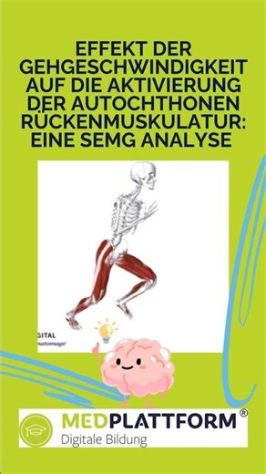 Effekt der Gehgeschwindigkeit auf die Aktivierung der autochthonen Rückenmuskulatur #gehen #emg