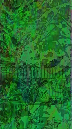 red carpet film fest in my backyard