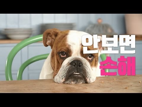 [LG U+] 안보면 손해! 비디오포털, 무료 영화#5. 인천 OO 작전 편