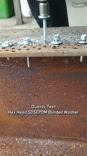 Quality Test Hex Head SDS EPDM Bonded Washer#screw #fastener #hardware #fastenres#tornillos#parafuso