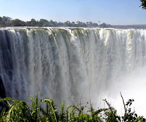 Fun Fact about Victoria Falls which is situated a stone's throw away from us. Did you know that Victoria Falls is one of the largest waterfalls in the world? Stretching an impressive 1,708 meters (5,604 feet) wide and plunging over 108 meters (354 feet) into the Zambezi River, it's a breathtaking sight! The local name, "Mosi-oa-Tunya," means "The Smoke That Thunders," perfectly capturing the mist and roar created by the cascading waters. Come see this natural wonder for yourself - https://thedav