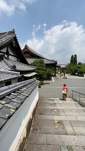 Buongiorno! Oggi il secondo video del tempio BYODOIN a KYOTO! Ti guido attraverso il suo grande sito che comprende museo, templi e santuari. Anche le bellissime carpe giapponesi KOI🇯🇵 Per guardare tutti i video dei viaggi in Giappone 👉https://www.youtube.com/playlist?list=PLC7cWWN80heBkBX-3j0KX35W_BBjVkBMP La mia amica MIHO cucina molto bene, guarda i video con MIHO su YouTube! GYOZA; ravioli giapponesi👉https://youtu.be/R9XczC4aEl4 Spaghetti alla giapponese👉https://youtu.be/AtCyJp_8IR4 TAKO
