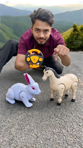 Remote control 2Ta Horse and Rabbit