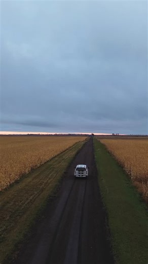 434 reactions · 18 comments | #uplandhunting #pheasanthunting #brittany #birddog #november | Uplander | Facebook