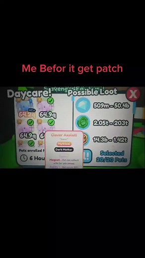 Discover Unique Pets in Game Inventory Glitch