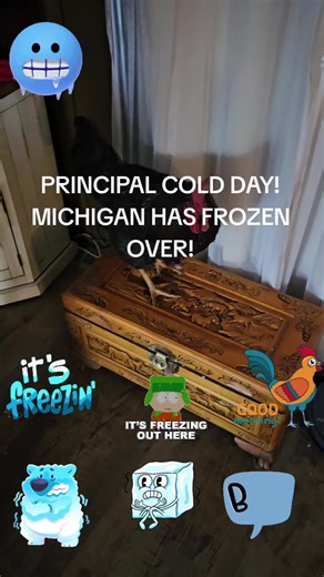 Principal Cold Day in Michigan: A Rooster's Perspective