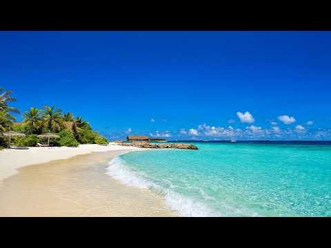 Paradise Found: Ocean and Wild Beach! Maldives 4K ULTRA HD