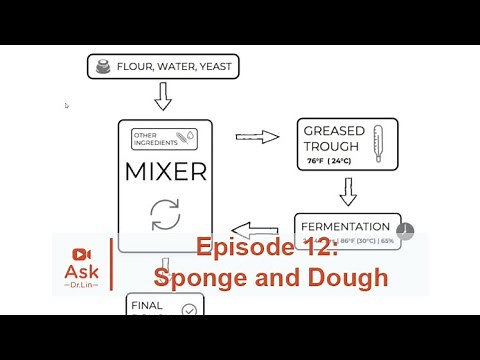 How to Use the Sponge and Dough Technique | Ask Dr. Lin Ep 12 | BAKERpedia