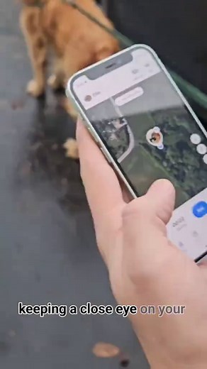 Exciting New Pet Product Review by Dr. Lisa Jones