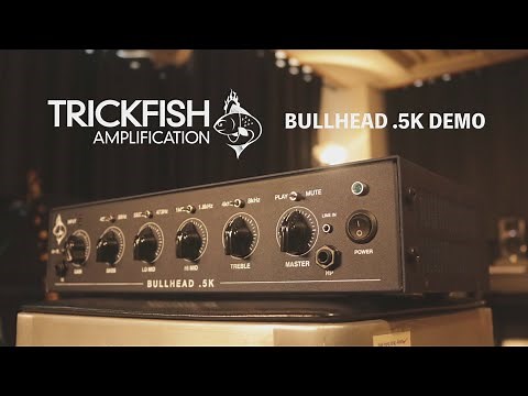 Trickfish Bullhead .5K Bass Amp Demo(No Talking) - De Gier, Tokai, Double Bass Test