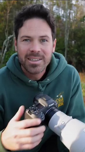 Beautiful thank you Hayden @wildlifebyhayden The rarest wolf on the planet with only about 25 wild wolves left— and somehow, we got to see the whole pack. After a week of searching in North Carolina, I found the red wolves. 🎥 This moment will stay with me forever. #RedWolf #WildlifePhotography #Conservation #WildlifeAdventure #NatureCinematography #WildlifeReel #wolves #wolf | Sky Phoenix