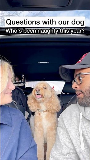 Mini Cockapoo Chooses Who Was Naughty or Nice This Year 😳