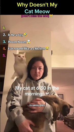 Why Doesn't My Cat Meow😑 #Cats #Fun #Moments @romireplay