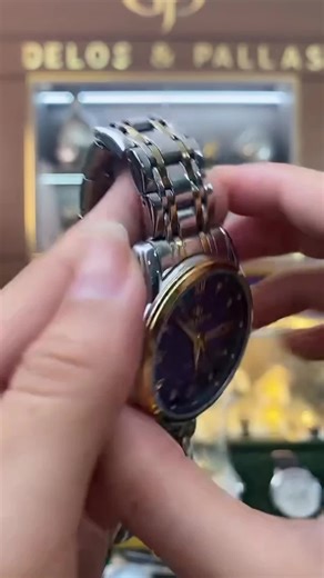 (Don't buy original price) DELOS & PALLAS Overseas Double calendar business luminous Waterproof Stainless Men's watch