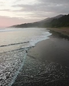 2.6K views · 85 reactions | Stop scrolling! Take 1 minute to check in with your breathe and press the reset button We can all do 1 minute, but feel free to let it loop for a while if you need more! So let’s ⏸️ and  #TheUtopianJungleExperience #EnvisionFestival #Envision2022 | Envision Festival | Facebook