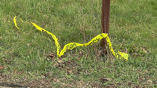 ‘Senseless act of violence’: Mother, 12-year-old son killed in Akron shooting