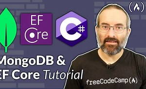 适用于 Entity Framework Core（EF Core）的 MongoDB 提供程序 - C# 教程