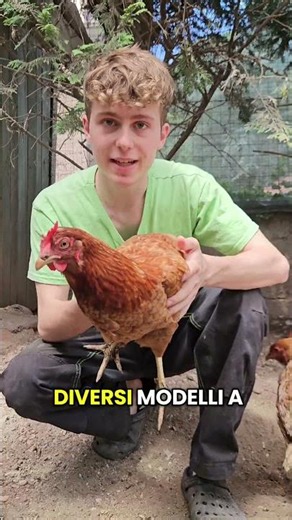 🎥 Acqua sempre pulita per le tue galline 💧🐔✨#galline #abbeveratoio #pollaio #avicoli #vitaincampagna