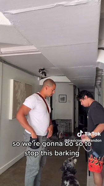 The Bonker Method is one of the best ways IMO to stop barking in the crate its simple counter conditioning! Barking results an unpleasant experience tapping on the crate and silence produces something pleasant in this case a treat! #stopdogbarking #barkinginthekennel #barkinginthecrate #howtostopbarking #balancedtrainingforthewin #balanceddogtrainingtok #counterconditioning #realdogtrainers #atlantadogtrainers #atlantadogtrainer #howtocratetrain #howtotrainmypuppy