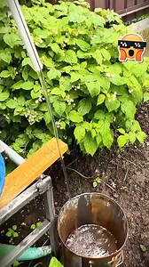 Tool Usage Tips Every DIYer Should Know | Rise With Purpose