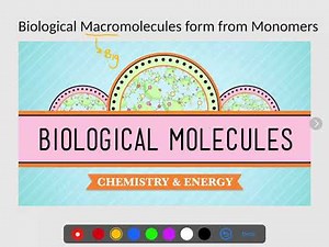 Biological Macromolecules form form monomers