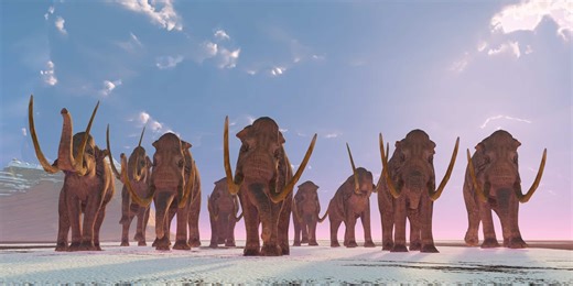 Mammoths Vs. Mastodons
