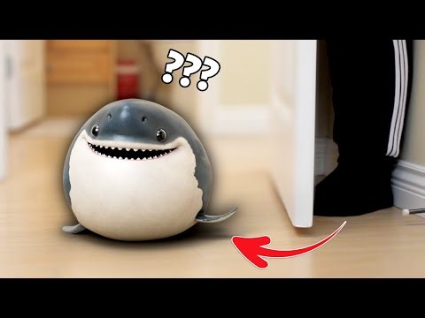 Baby Shark's Hide and Seek Adventure: You Won't Believe What He Does To Find Me!
