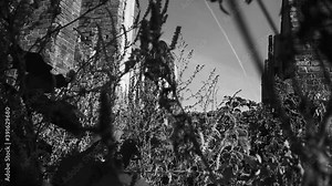 Prostitution - the oldest profession in the world