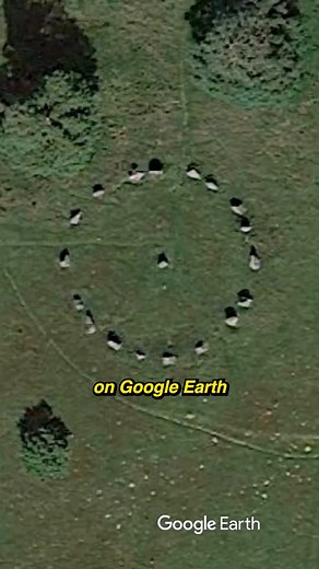 69K views · 1.5K reactions | Strange Google Earth find turns out to be ancient ruins over 2000 years old! #googleearth #adventure #outdooradventures | Josh the Intern | Facebook