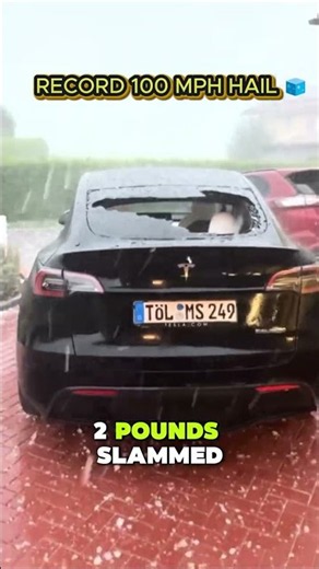 The Heaviest Hailstone Ever Recorded 🧊 #shorts