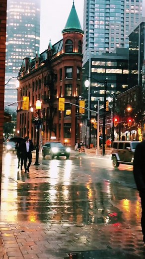 #عبد_الحليم_حافظ #على_حسبي_وداد_قلبي #العندليب #العندليب_الاسمر_عبدالحليم_حافظ #اغاني_زمان #تنسى_كأنك_لم_تكن #تورنتو #اونتاريو #كندا