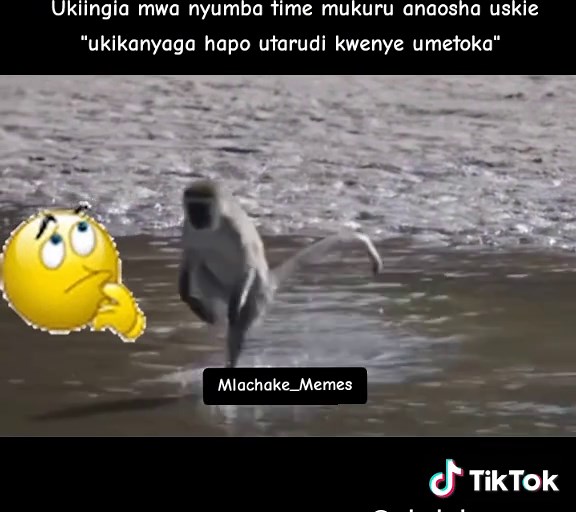 Mlachake_Official on TikTok