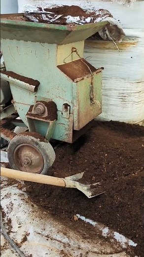 Unlocking the Potential of Peat Moss: Prep Tips for Your Greenhouse