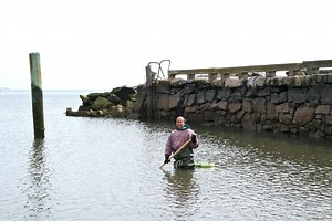 C'mon Spring! You Can Do It ... !