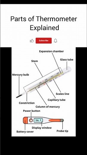Parts of Thermometer Explained