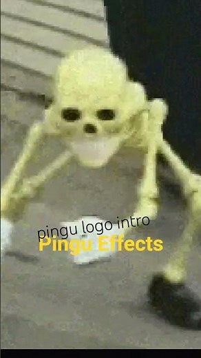 Pingu Logo Intro Pingu Effects